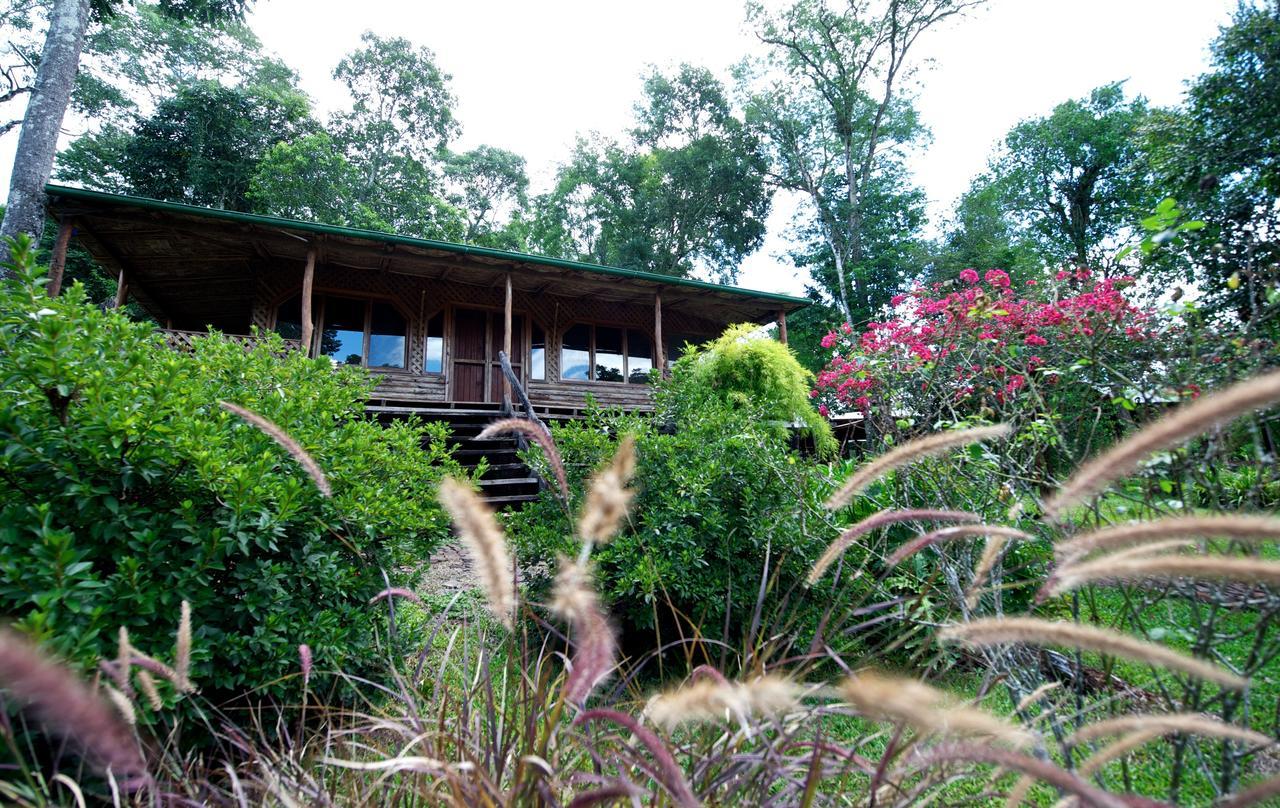 拉米西翁摩可拿酒店 - 丛林小屋 Saltos del Moconá 客房 照片