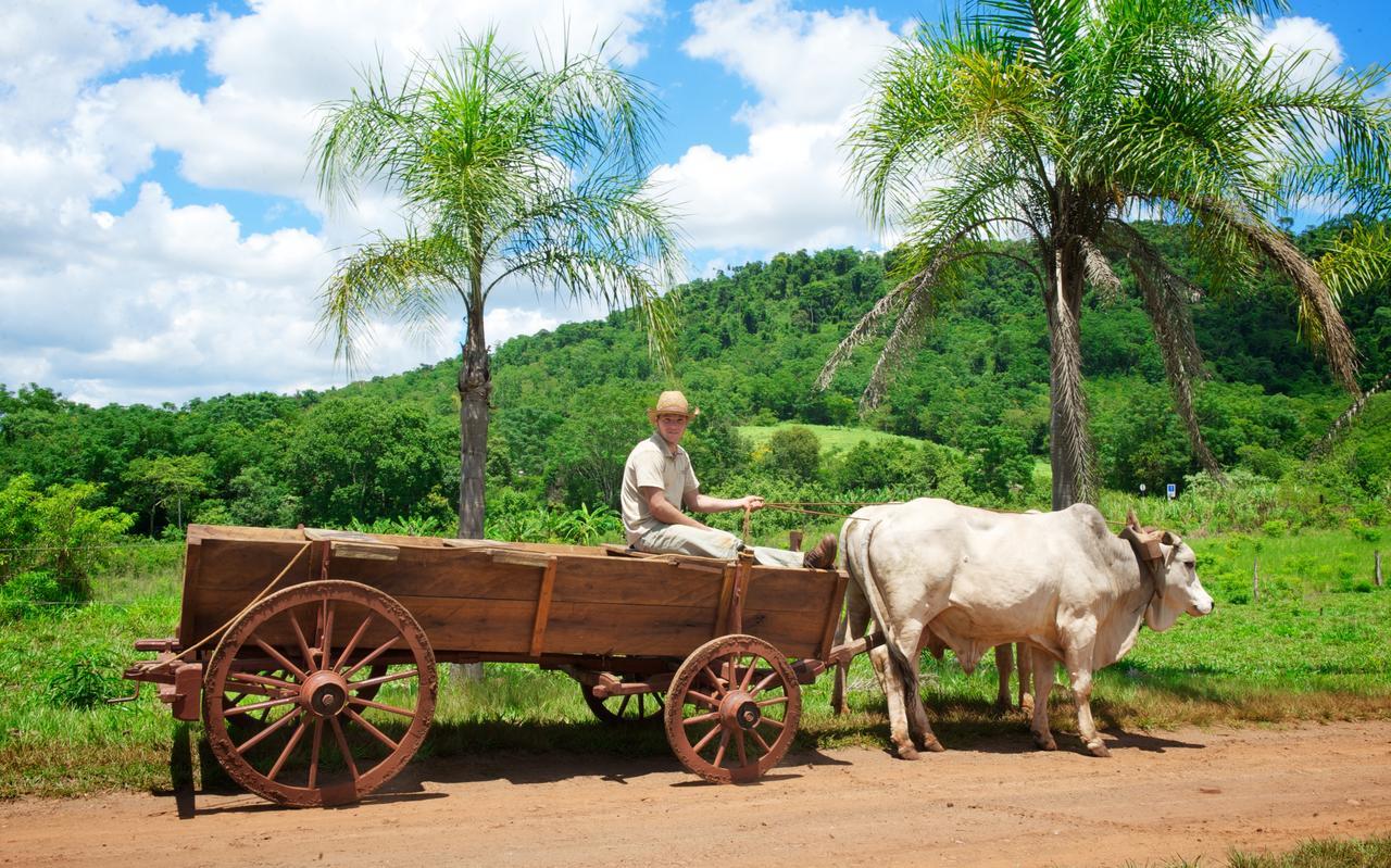 拉米西翁摩可拿酒店 - 丛林小屋 Saltos del Moconá 外观 照片