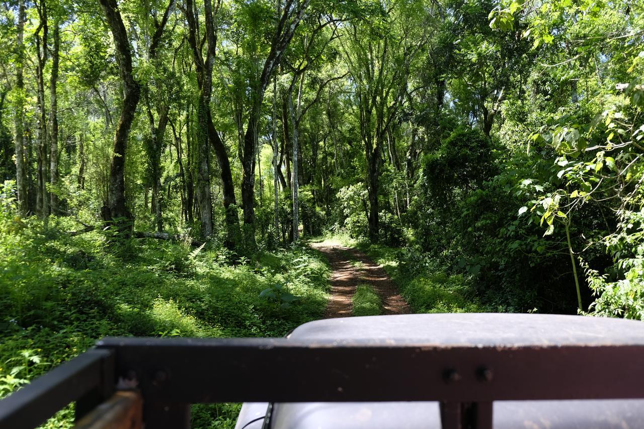 拉米西翁摩可拿酒店 - 丛林小屋 Saltos del Moconá 外观 照片