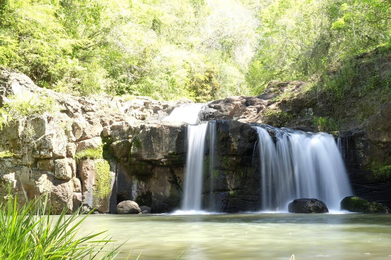 拉米西翁摩可拿酒店 - 丛林小屋 Saltos del Moconá 外观 照片