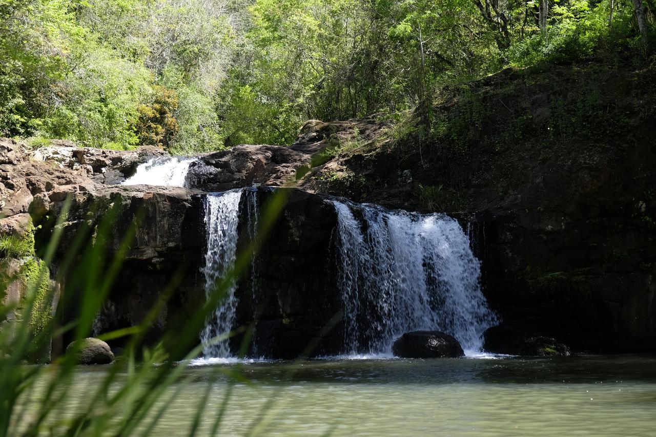 拉米西翁摩可拿酒店 - 丛林小屋 Saltos del Moconá 外观 照片